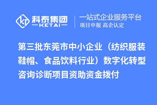 第三批东莞市中小企业（纺织服装鞋帽、食品饮料行业）数字化转型咨询诊断项目资助资金拨付