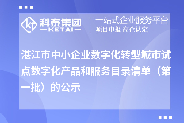 湛江市中小企业数字化转型城市试点数字化产品和服务目录清单（第一批）的公示
