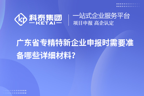 广东省专精特新企业申报时需要准备哪些详细材料？