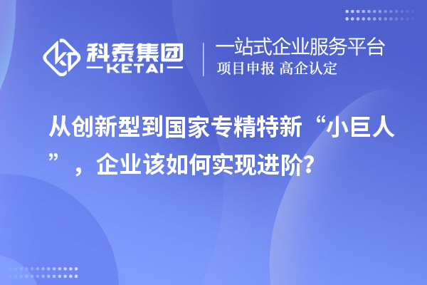 从创新型到国家专精特新“小巨人”，企业该如何实现进阶？