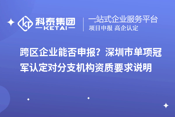 跨区企业能否申报？深圳市单项冠军认定对分支机构资质要求说明