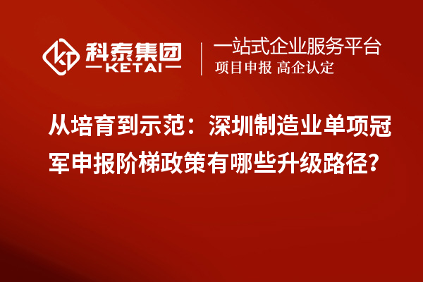 从培育到示范：深圳制造业单项冠军申报阶梯政策有哪些升级路径？