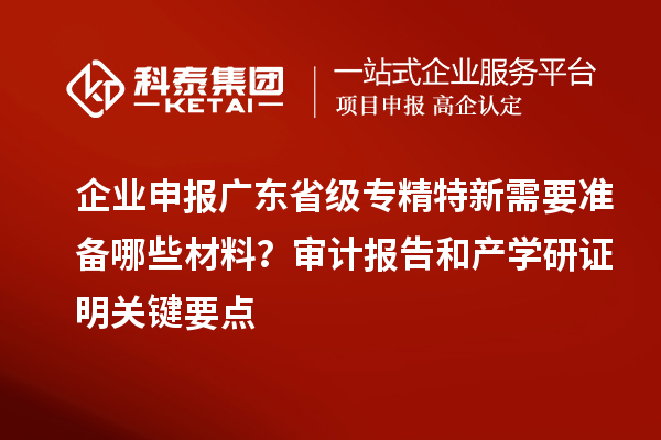 企业申报广东省级专精特新需要准备哪些材料？审计报告和产学研证明关键要点