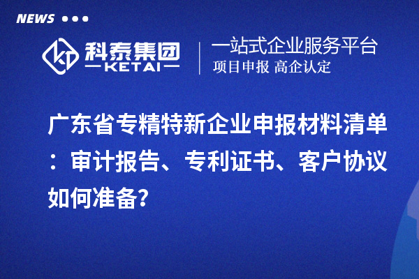 广东省专精特新企业申报材料清单：审计报告、专利证书、客户协议如何准备？