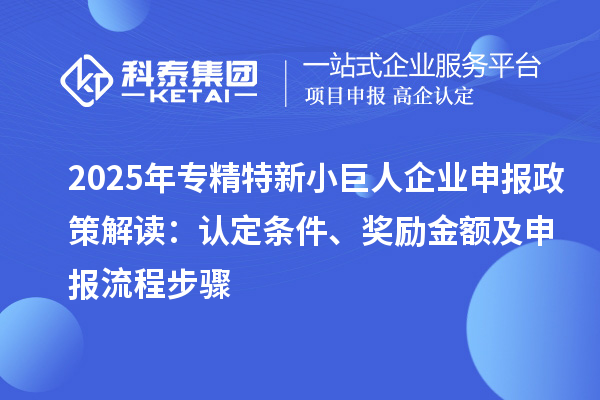 2025年专精特新<a href=//jiuyouhuitech.com/zjtx/ target=_blank class=infotextkey>小巨人企业申报</a>政策解读：认定条件、奖励金额及申报流程步骤