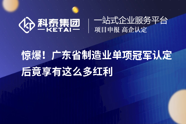 惊爆！广东省制造业单项冠军认定后竟享有这么多红利