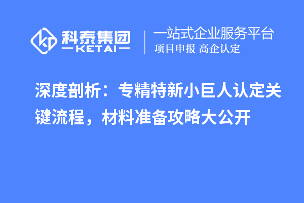 深度剖析：专精特新小巨人认定关键流程，材料准备攻略大公开