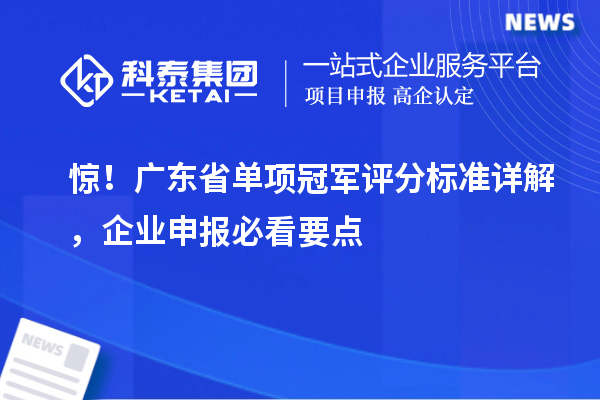 惊！广东省单项冠军评分标准详解，企业申报必看要点