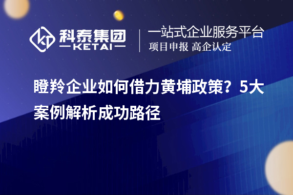 瞪羚企业如何借力黄埔政策？5大案例解析成功路径