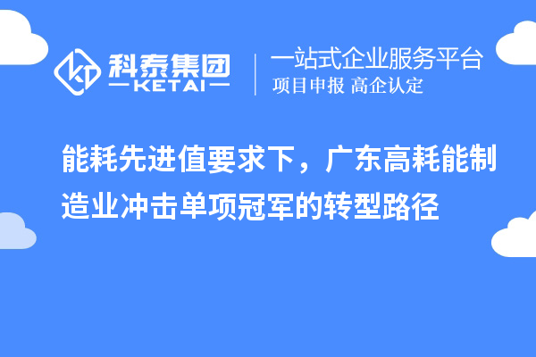能耗先进值要求下，广东高耗能制造业冲击单项冠军的转型路径