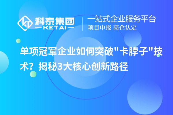 单项冠军企业如何突破"卡脖子"技术？揭秘3大核心创新路径