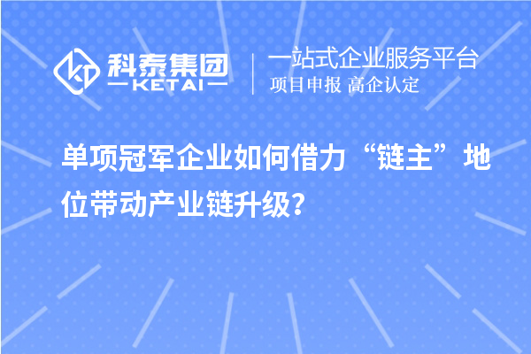 单项冠军企业如何借力“链主”地位带动产业链升级？