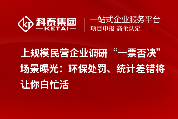 上规模民营企业调研“一票否决”场景曝光：环保处罚、统计差错将让你白忙活