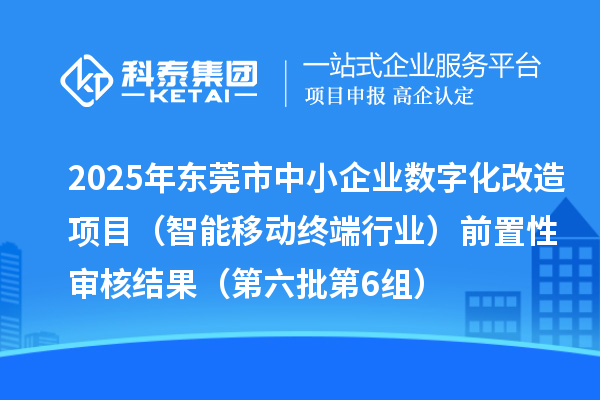 2025年东莞市中小企业数字化改造项目（智能移动终端行业）前置性审核结果（第六批第6组）
