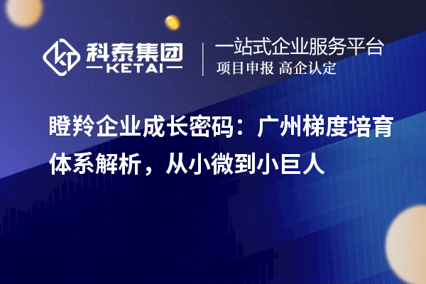 瞪羚企业成长密码：广州梯度培育体系解析，从小微到小巨人