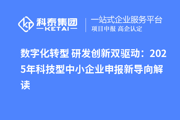 数字化转型+研发创新双驱动：2025年科技型中小企业申报新导向解读