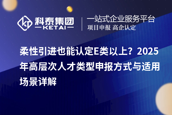 柔性引进也能认定E类以上？2025年高层次人才类型申报方式与适用场景详解