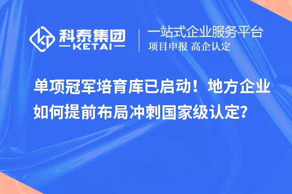 单项冠军培育库已启动！地方企业如何提前布局冲刺国家级认定？