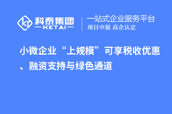 小微企业“上规模”可享税收优惠、融资支持与绿色通道