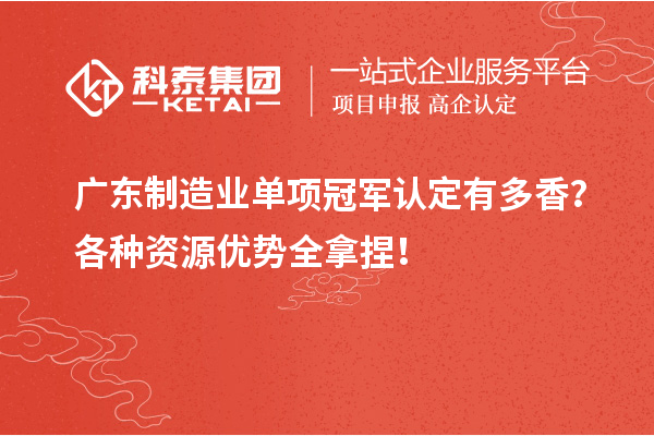 广东制造业单项冠军认定有多香？各种资源优势全拿捏！