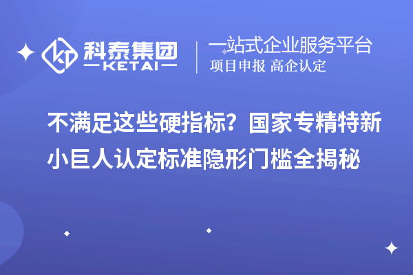 不满足这些硬指标？国家专精特新小巨人认定标准隐形门槛全揭秘