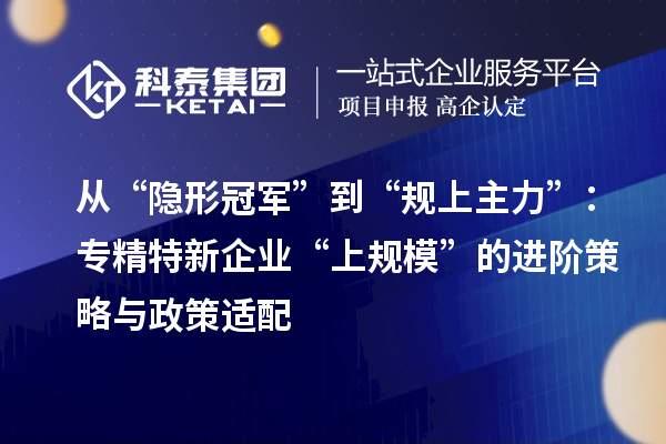 从“隐形冠军”到“规上主力”：专精特新企业“上规模”的进阶策略与政策适配