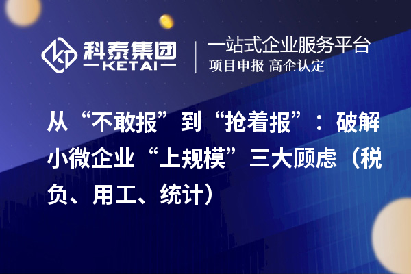 从“不敢报”到“抢着报”：破解小微企业“上规模”三大顾虑（税负、用工、统计）