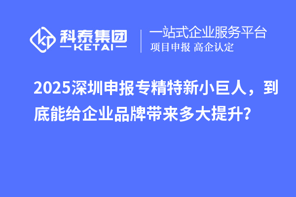  2025深圳申报专精特新小巨人，到底能给企业品牌带来多大提升？