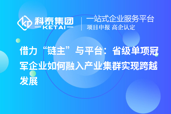 借力“链主”与平台：省级单项冠军企业如何融入产业集群实现跨越发展