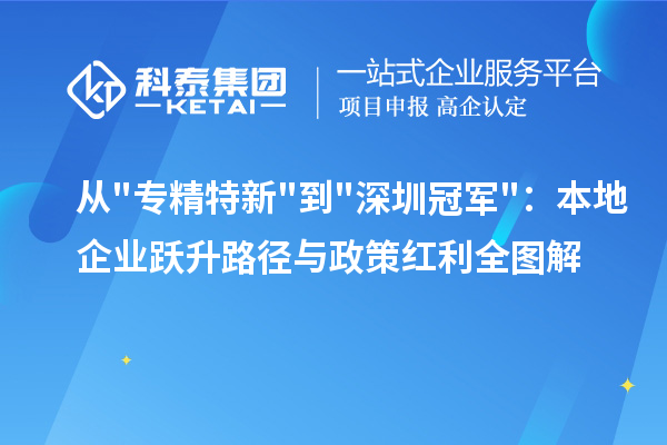 从"专精特新"到"深圳冠军"：本地企业跃升路径与政策红利全图解