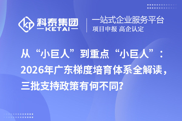 从“小巨人”到重点“小巨人”：2026年广东梯度培育体系全解读，三批支持政策有何不同？