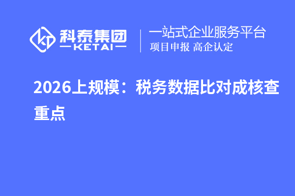 2026上规模：税务数据比对成核查重点