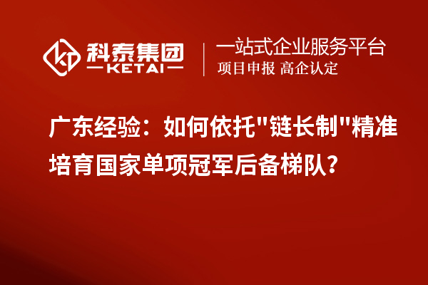 广东经验：如何依托链长制精准培育国家单项冠军后备梯队？
