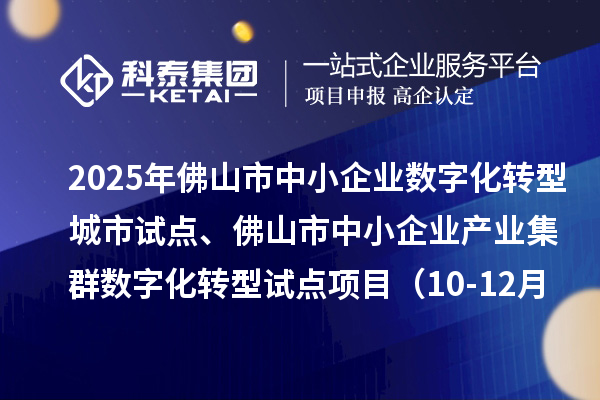 2025年佛山市中小企业数字化转型城市试点、佛山市中小企业产业集群数字化转型试点项目（10-12月批次）评审结果的公示（第二次）