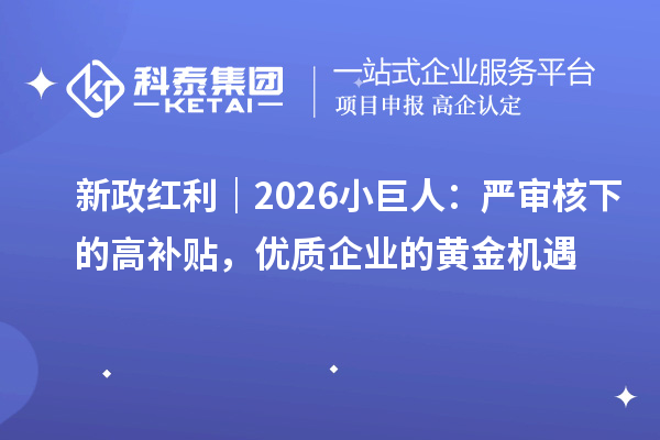 新政红利｜2026小巨人：严审核下的高补贴，优质企业的黄金机遇