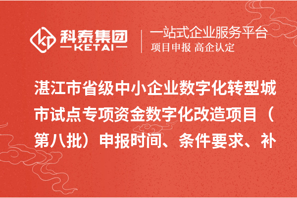 湛江市省级中小企业数字化转型城市试点专项资金数字化改造项目（第八批）申报时间、条件要求、补助奖励