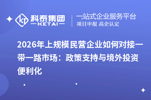 2026年上规模民营企业如何对接一带一路市场：政策支持与境外投资便利化