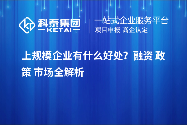 上规模企业有什么好处？融资 + 政策 + 市场全解析