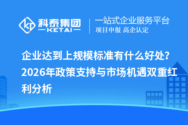 企业达到上规模标准有什么好处？2026年政策支持与市场机遇双重红利分析