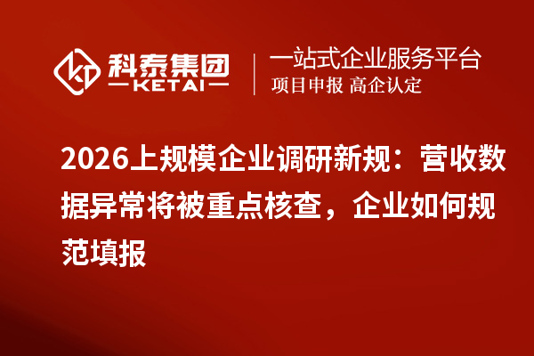 2026上规模企业调研新规：营收数据异常将被重点核查，企业如何规范填报