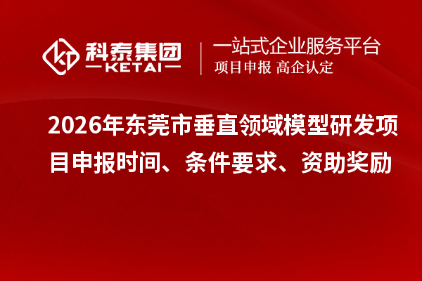 2026年东莞市垂直领域模型研发项目申报时间、条件要求、资助奖励