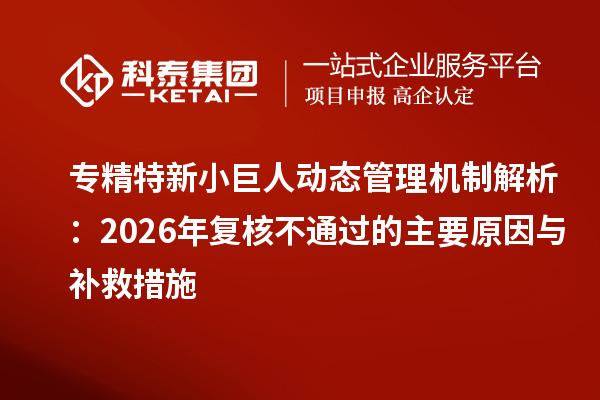 专精特新小巨人动态管理机制解析：2026年复核不通过的主要原因与补救措施