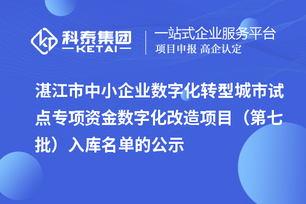 湛江市中小企业数字化转型城市试点专项资金数字化改造项目（第七批）入库名单的公示