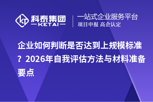 企业如何判断是否达到上规模标准？2026年自我评估方法与材料准备要点