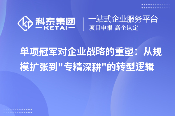 单项冠军对企业战略的重塑：从规模扩张到专精深耕的转型逻辑