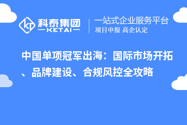 中国单项冠军出海：国际市场开拓、品牌建设、合规风控全攻略