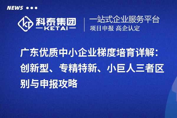 广东优质中小企业梯度培育详解：创新型、专精特新、小巨人三者区别与申报攻略