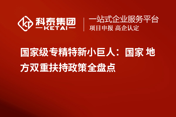 国家级专精特新小巨人：国家+地方双重扶持政策全盘点