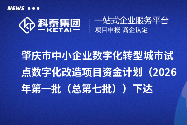 肇庆市中小企业数字化转型城市试点数字化改造项目资金计划（2026年第一批（总第七批））下达