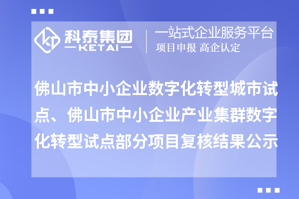佛山市中小企业数字化转型城市试点、佛山市中小企业产业集群数字化转型试点部分项目复核结果的公示